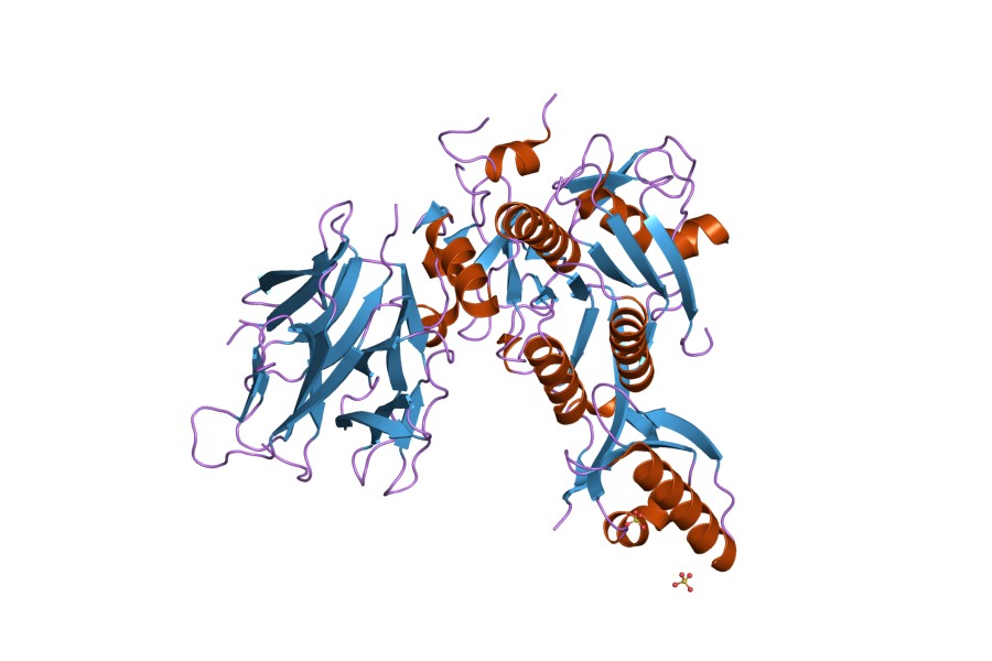 Mechanisms of different enzymes to remove stains.